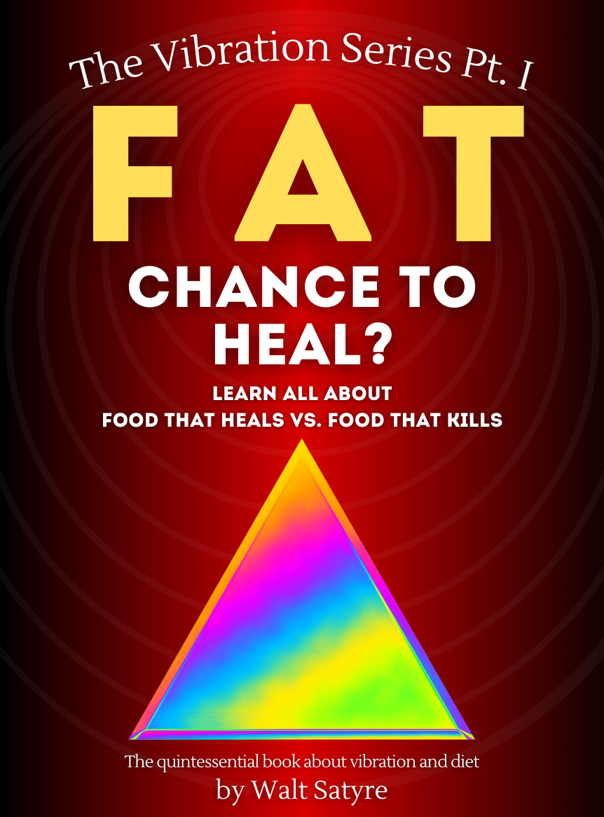 "Fat - Chance to heal?" book cover